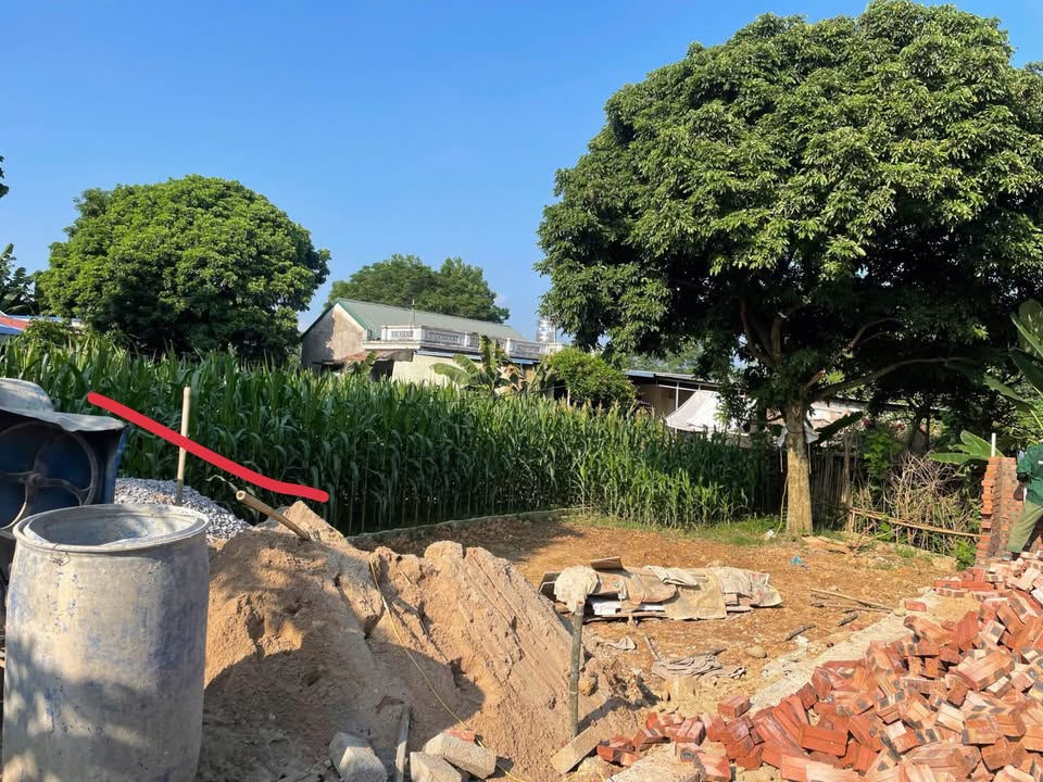 Đất thổ cư Gia Sàng 129m² giá chỉ 550 triệu - Đường ngõ thông, không ngập lụt!