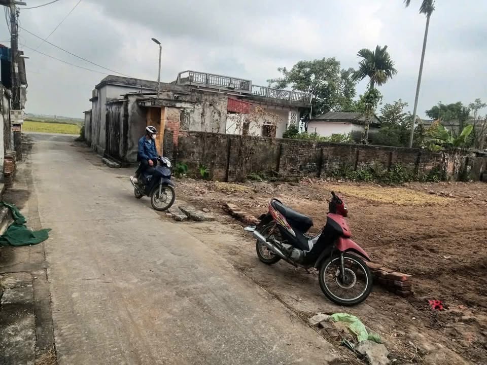 Đất nền Dương Phúc Thái Thụy 75m² giá chỉ vài trăm triệu - Sổ đỏ trao tay!