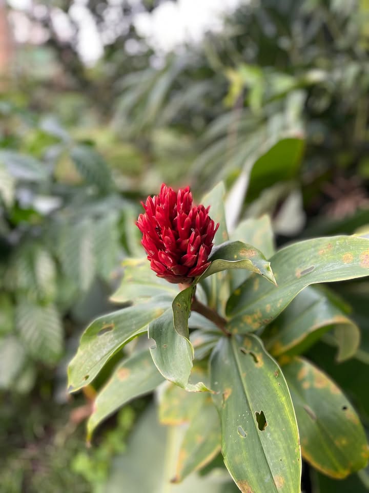 Đất nền 500m² Bảo Vinh, Long Khánh - Sổ riêng, giá 780 triệu - Cơ hội đầu tư tuyệt vời!