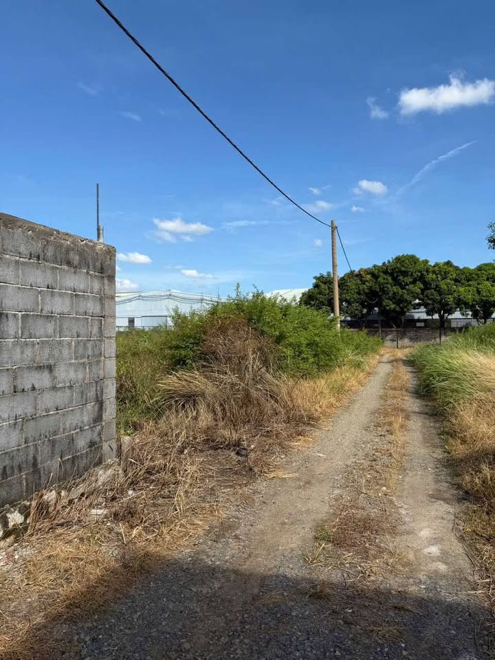 Đất thổ cư 300m² hẻm 1796, Vũng Tàu - Giá 3,6 tỷ, sổ riêng sang tên ngay!