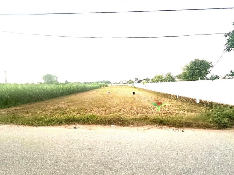 Đất nông nghiệp Lệ Chi, Gia Lâm 1550m² - Sổ đỏ chính chủ, đầu tư lý tưởng!