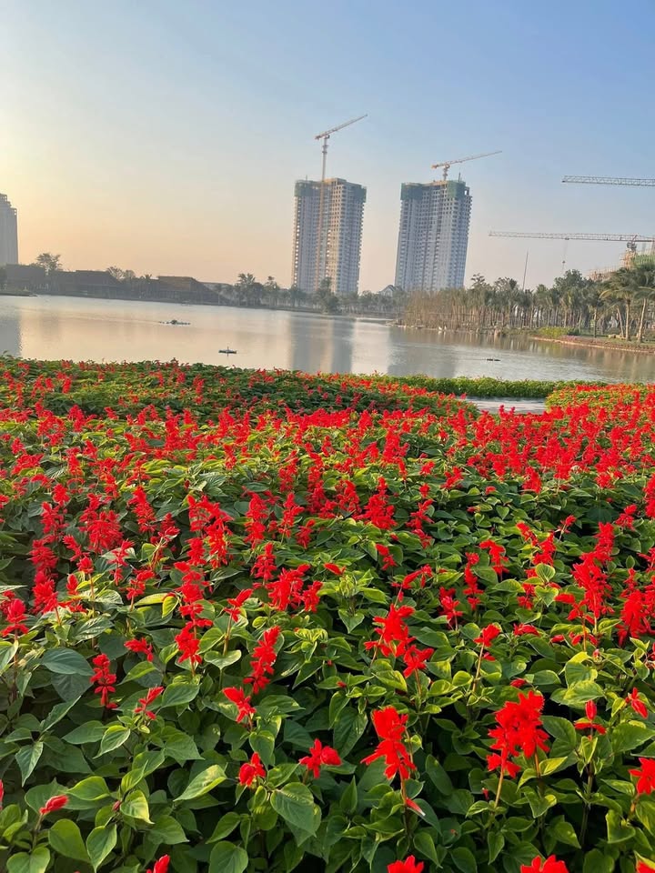 Tòa nhà kinh doanh 4 tầng tại 45 An Dương Vương, 340m², chỉ 20 triệu/tháng - Cơ hội không thể bỏ lỡ!