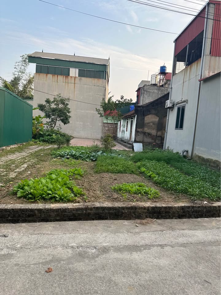 Đất thổ cư Xuân Lâm, Thuận Thành, Bắc Ninh 82m² giá 3.4 tỷ - Ô tô vào tận nơi!