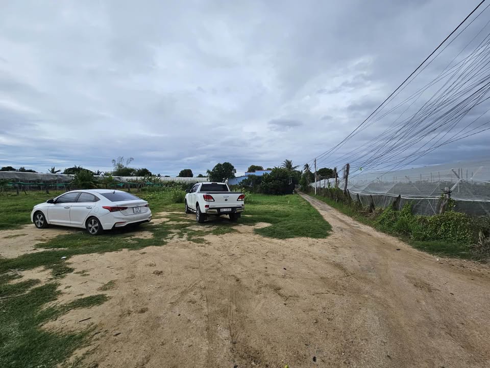 Lô Đất CLN Phường Văn Hải 300m² giá 620 triệu - Sổ hồng rõ ràng, thương lượng chính chủ!