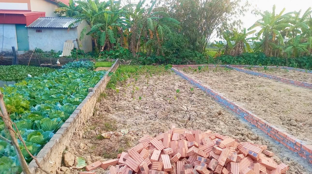 Đất Vĩnh Trai, Trừng Xá, Lương Tài 80m² giá 1 tỷ - Sổ hồng chính chủ!