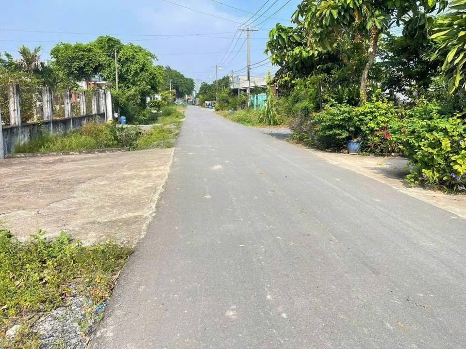 Đất nền Tân Thạnh Đông, Củ Chi 1.069m² giá 5.5 tỷ - Cơ hội đầu tư lý tưởng!