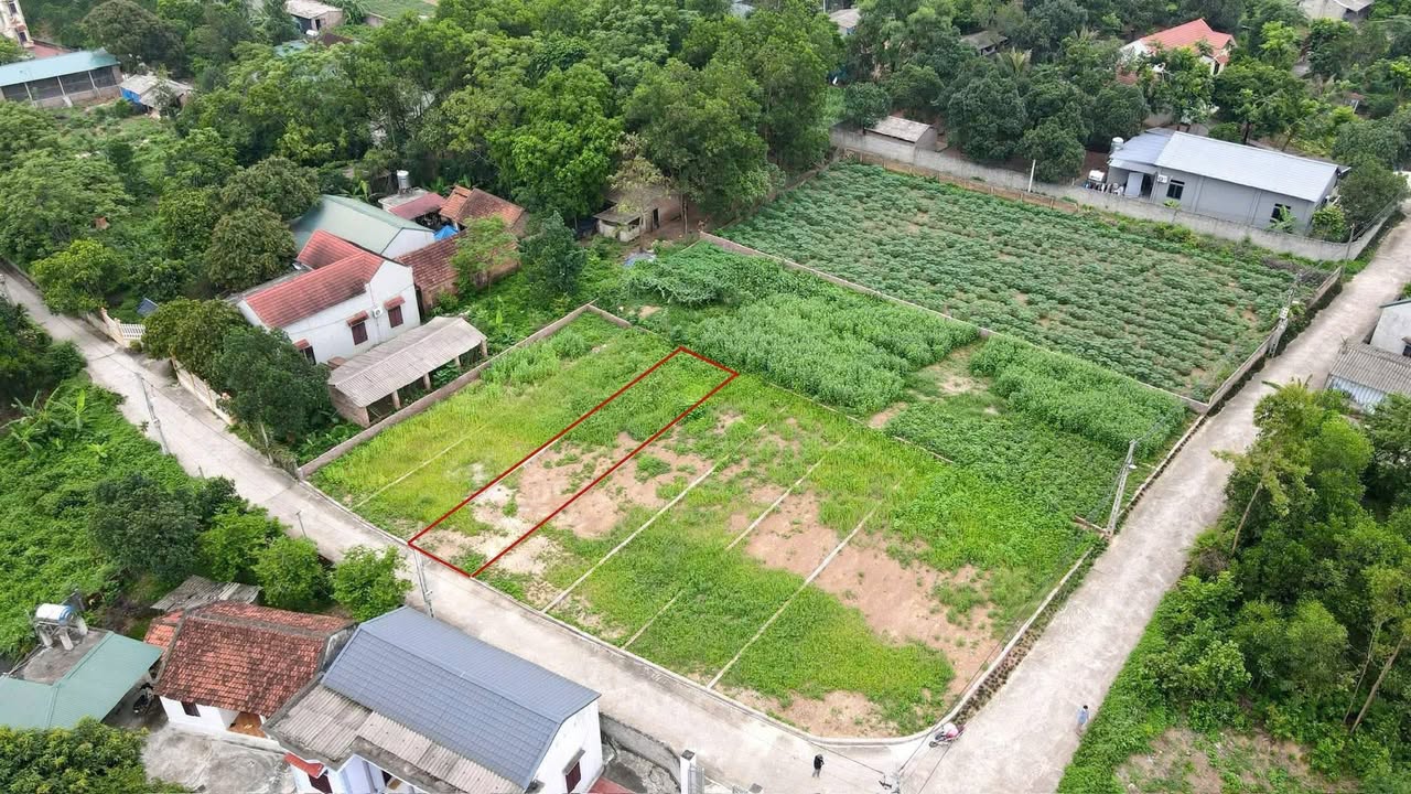 Đất thổ cư 124m² tại Động Phượng, Ba Vì - Giá chỉ 8xx triệu, ô tô vào tận đất!