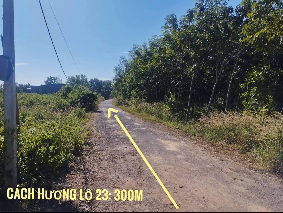 Đất nền Ấp Bưng Rò, Hòa Hội 95m² giá 115 triệu - Sổ đỏ chính chủ!