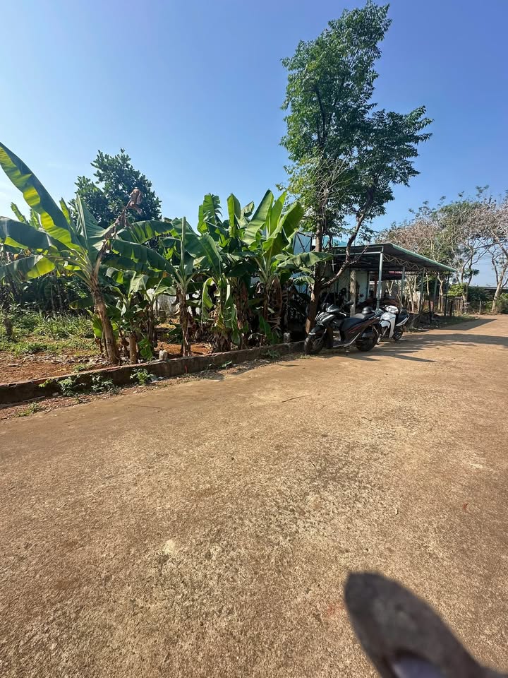 Đất thổ cư 172m² tại Xã Thanh Bình, Trảng Bom - Gần chợ Trường An chỉ 600 triệu!