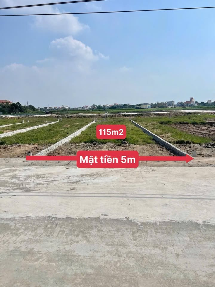 Lô đất đấu giá 115m² tại xã Giao Ninh, chỉ 1.4 tỷ - Cơ hội đầu tư tuyệt vời!