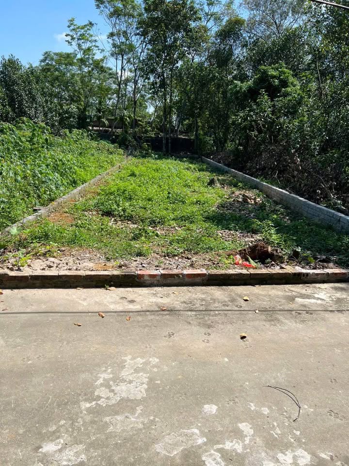 Đất thổ cư thôn Cánh Chủ 178m² giá chỉ 5.36 tỷ - Vị trí tiện lợi, thông thoáng!