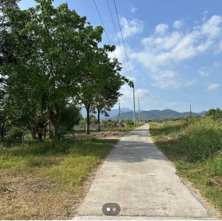 Lô đất cây lâu năm Thôn Ninh Thuận, Xã Hàm Liêm 1162m² giá 320 triệu - Đầu tư sinh lời tiềm năng!