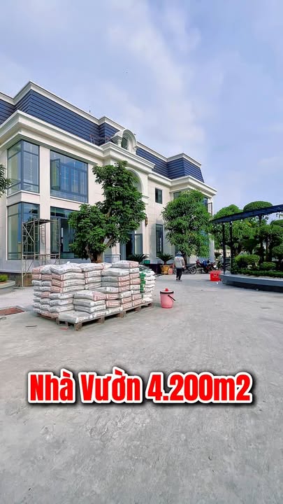 Nhà vườn tại Bến Lức, Long An 4.200m² - Không gian sống lý tưởng!