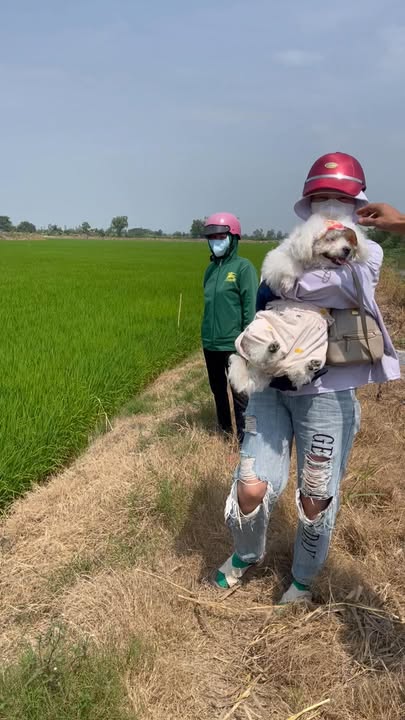 Đất Farm 20400m² tại Cần Thơ giá chỉ 520 triệu - Cơ hội đầu tư tuyệt vời!