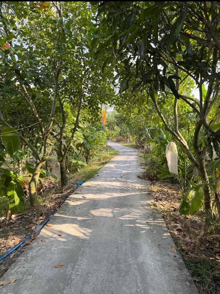 Bán đất vườn xã Trường Thành, Cần Thơ 2640m² - Mặt tiền lộ 2m, thổ cư 200m²