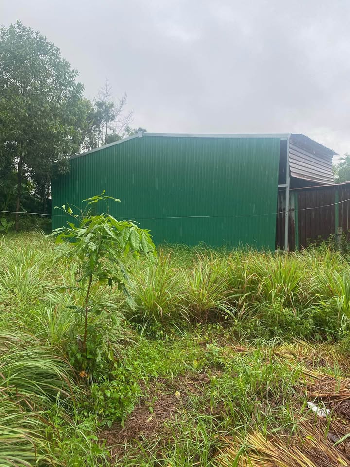 Đất nền Thị Xã Hương Thủy 100m² giá 500 triệu - Vị trí cao ráo, không ngập lụt!