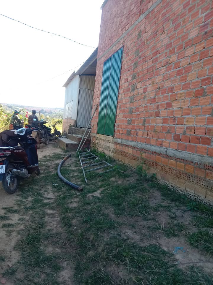 Farm 10,000m² tại Xã Đạ Rsal, Huyện Đam Rông - Giá 1.6 tỷ - Kinh doanh cafe và sầu riêng