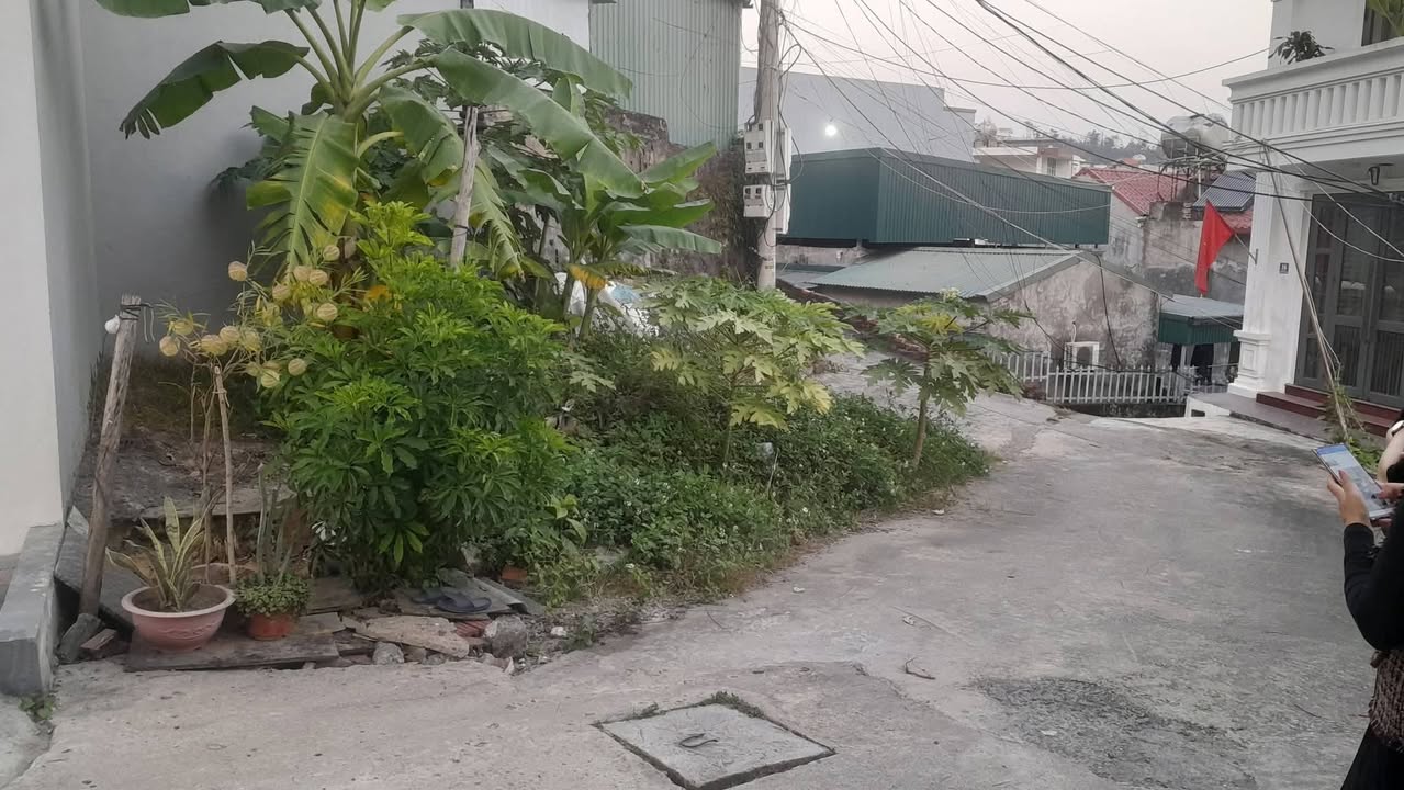 Đất nền Đồi T5, Hạ Long 47.5m² giá 1 tỷ - Cơ hội đầu tư lý tưởng!