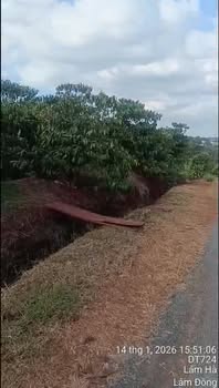 Đất nền Phúc Thọ 110m² giá 3.1 tỷ - Chính chủ cần bán gấp!