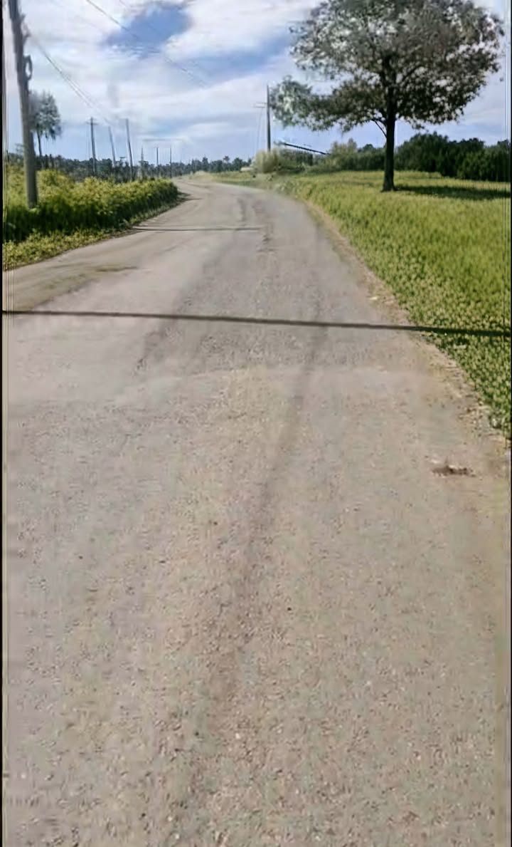 Đất nền Tân Hà, Lâm Hà 636m² giá 699 triệu - Vị trí mặt đường nhựa thuận lợi!