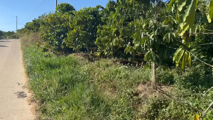 Đất nền 2000m² Tân Thanh, Lâm Hà chỉ 1.2 tỷ - Sổ hồng chính chủ, bớt lộc!