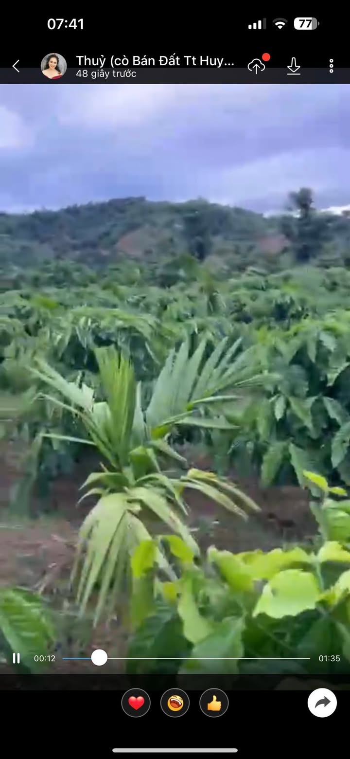 Rẫy 4,7 sào tại xã Ea Ning, huyện Cư Kuin - Giá chỉ 800 triệu VND - Cơ hội đầu tư tuyệt vời!