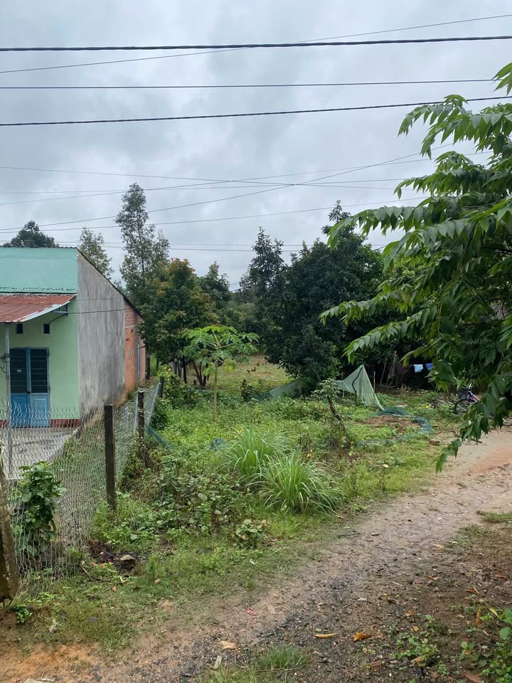 Đất nền 1000m² tại Tỉnh lộ 671, Xã Đắk Rơ Wa, giá 300 triệu - Đầu tư sinh lời ngay!