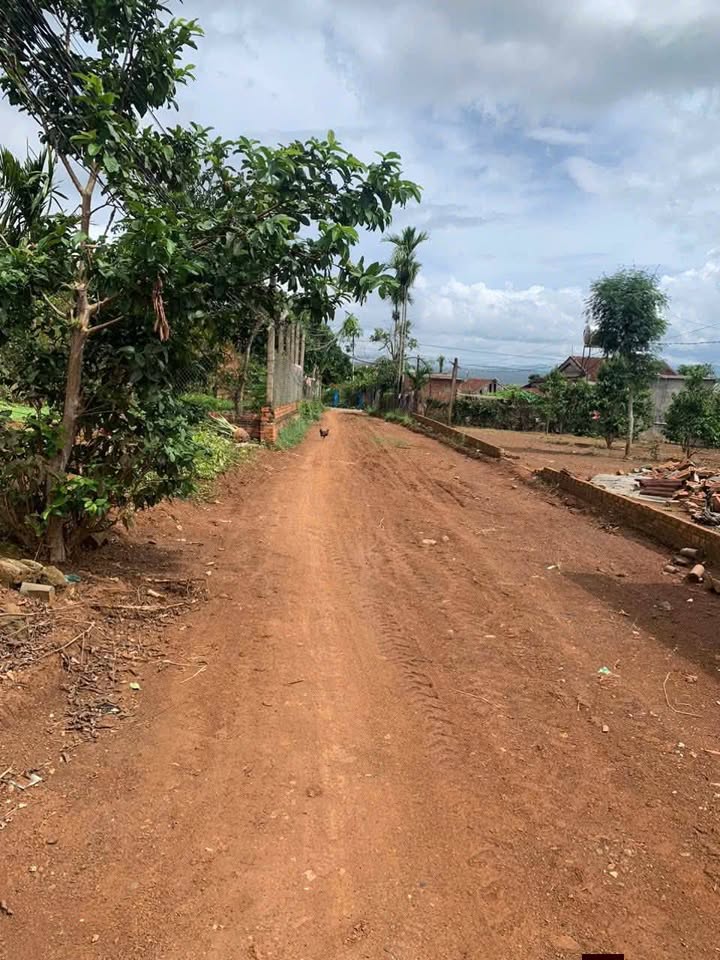 Đất nền Phú Xuân, 300m² giá 600 triệu - Sổ hồng chính chủ, sang tên ngay!