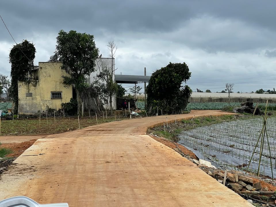 Đất nền Tổ 32 xã Phú Hội 1875m² giá chỉ 1.08 tỷ - Cơ hội đầu tư tuyệt vời!