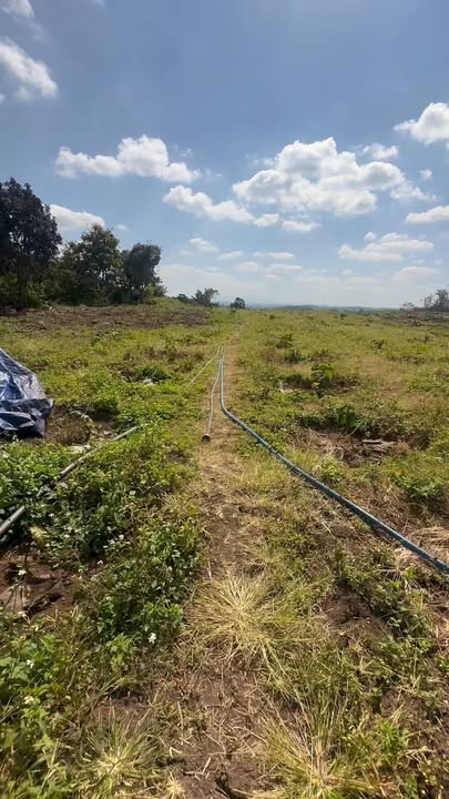 Đất Farm 1 Hecta tại Xã Ea Bung, Huyện Ea Súp - Giá chỉ 900 triệu VND