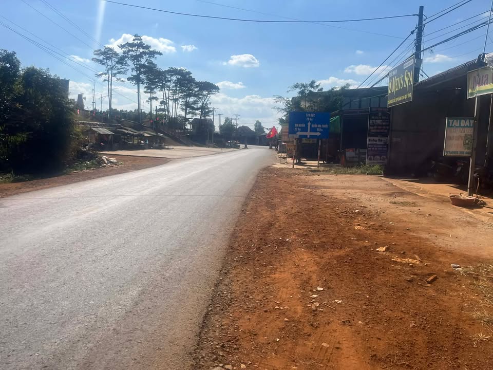 Đất thổ cư xã Xuân Trường Lâm Đồng 8000m² giá 1.1 tỷ - Đường rộng, xây nhà ngay!