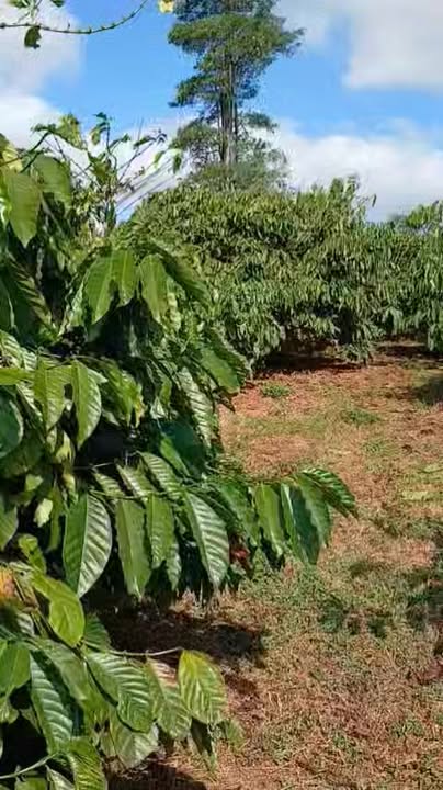 Đất nền 720m² tại Trương Định, Quận 3 - Giá 2.2 tỷ, pháp lý rõ ràng!