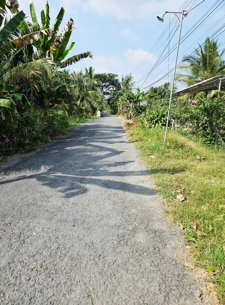 Đất nền Ngãi Tứ, Tam Bình, Vĩnh Long 2000m² chỉ 320 triệu - Đầu tư sinh lời ngay!