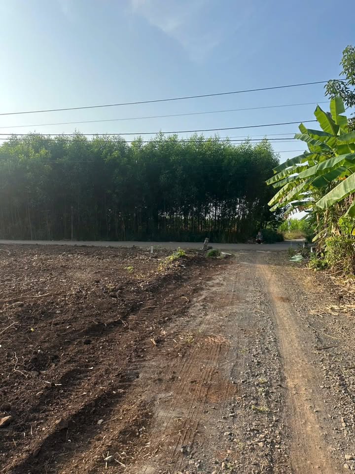 Đất nền Đá Bạc Châu Đức 130m² giá 460 triệu - Sổ hồng riêng, cơ hội đầu tư tuyệt vời!