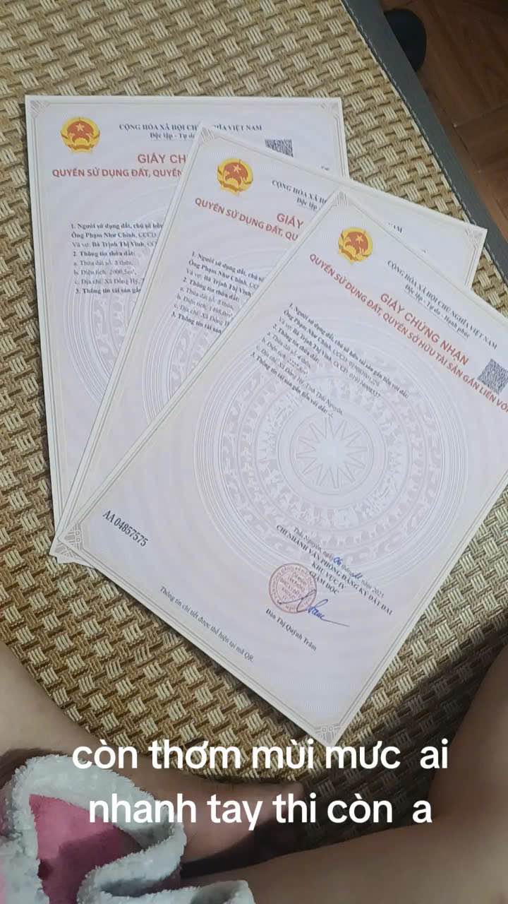 Đất nền 8100m² tại Tướng Quân, Đồng Hỷ - Gần chợ và trường học, giá thỏa thuận!