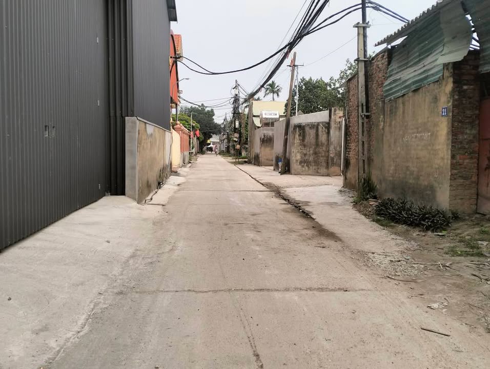 Đất Dược Hạ Sóc Sơn 100m² giá thỏa thuận - Mặt tiền rộng, đường thông ô tô!