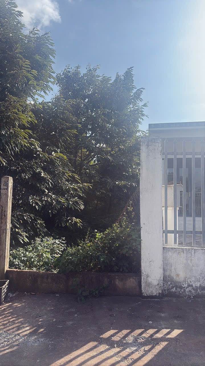 Đất mặt tiền chợ Đạt Lý, Tân An, 205m² giá 1.39 tỷ - Cơ hội đầu tư tuyệt vời!