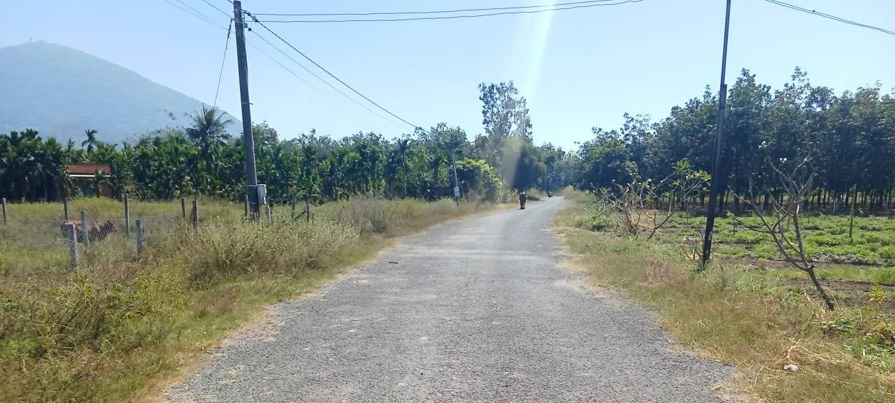 Đất nền Tân Bình, TP Tây Ninh, 650m² giá 730 triệu - Sổ hồng đầy đủ, đầu tư sinh lời!