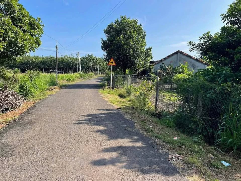 Đất nền xã Tân Tiến, Bù Đốp 988m² giá 800 triệu - Cơ hội đầu tư hấp dẫn!