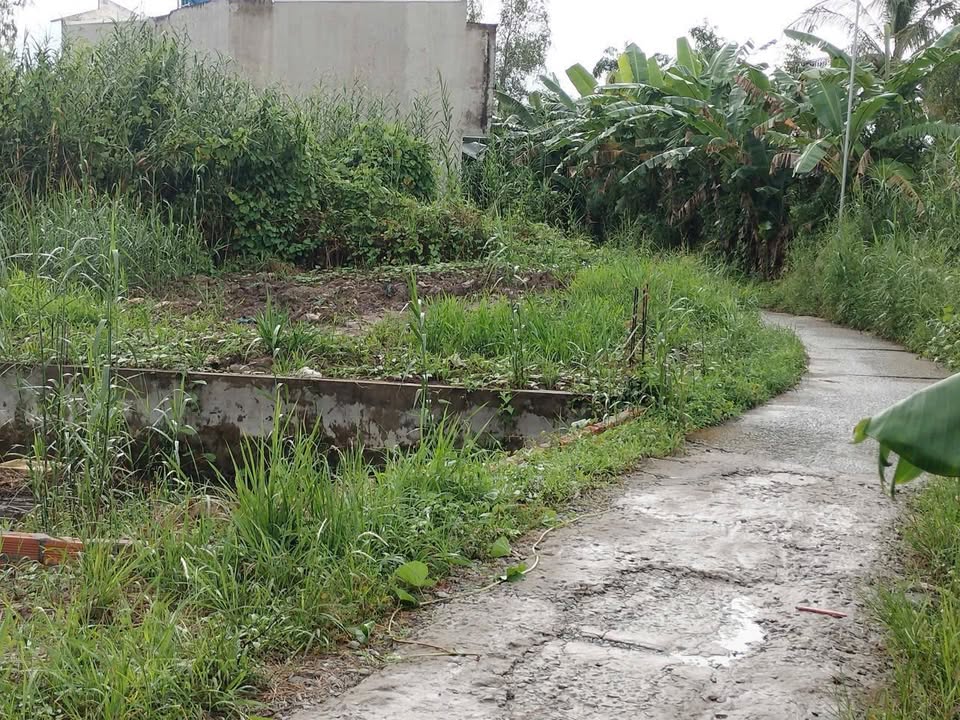 Đất nền 100m² tại Phường Thành Phước, Thị xã Bình Minh - Giá chỉ 390 triệu!