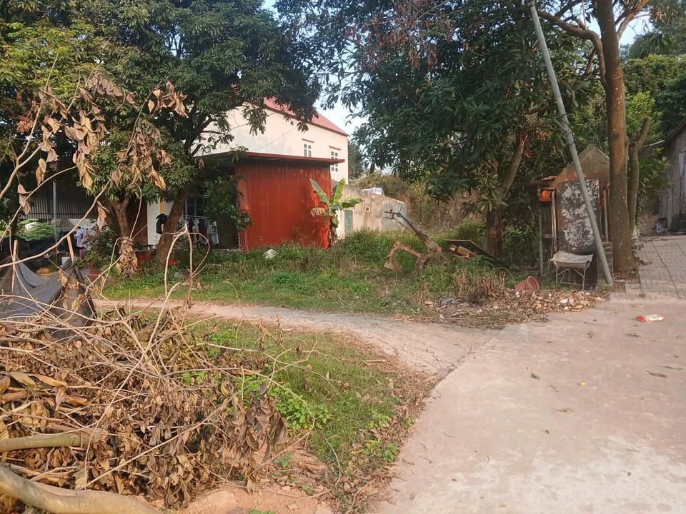 Đất thổ cư thôn Sy, Xã Đồng Vương, 193m² - Cơ hội đầu tư sinh lời!