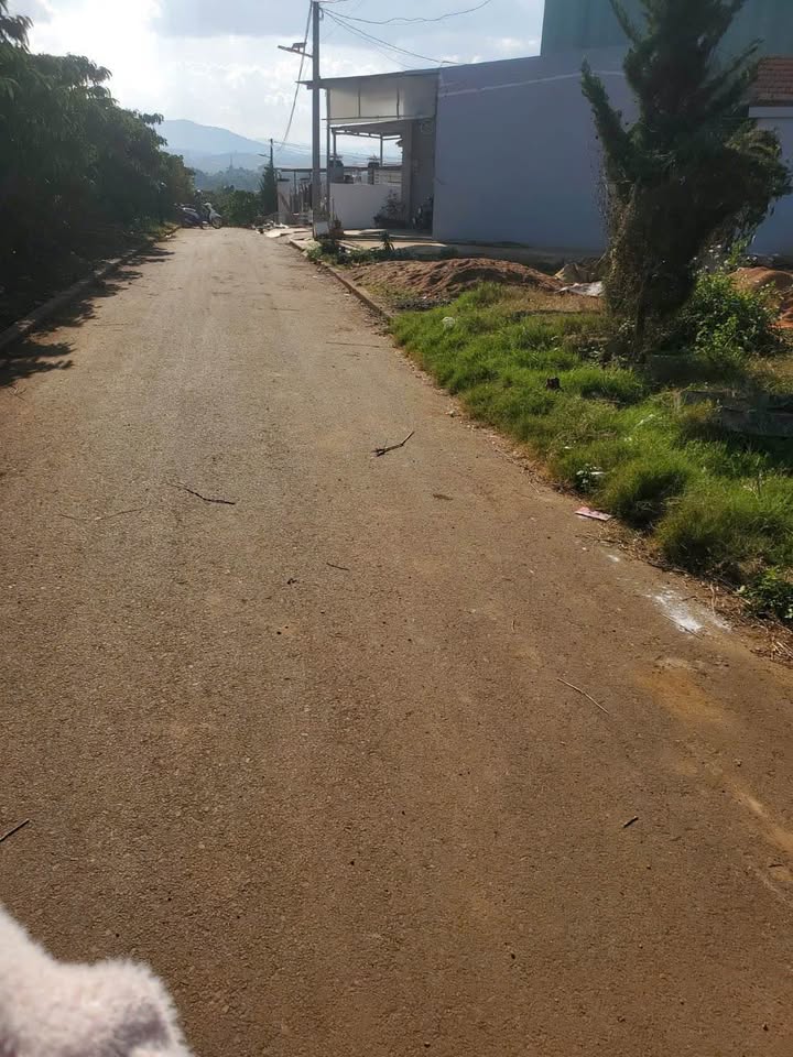 Đất Lộc An Bảo Lâm 175m² giá 700 triệu - Đầu tư sinh lời tốt!