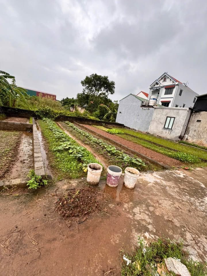 Đất nền Hồng Vân, Thường Tín 44,4m² giá 3 tỷ - Cơ hội đầu tư tuyệt vời!