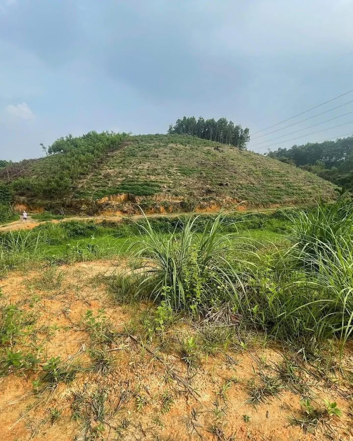 Bán đất vườn xã Vô Tranh, Phú Lương 6000m² giá 2 tỷ - Thế đất cao thoáng, phong thủy đẹp!