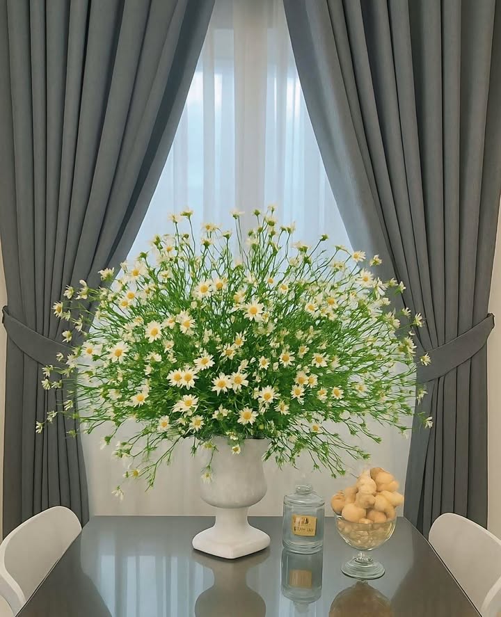 Căn hộ T&T 120 Định Công 48m² giá 5.2 tỷ - Nội thất đầy đủ, sổ đỏ chính chủ!