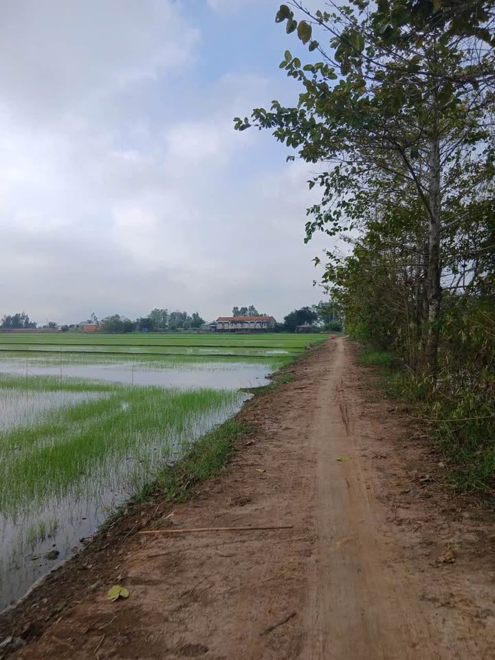 Đất Farm 18 Công Tân Công Sính 21.6 Tỷ - Đầu Tư Đắc Địa!