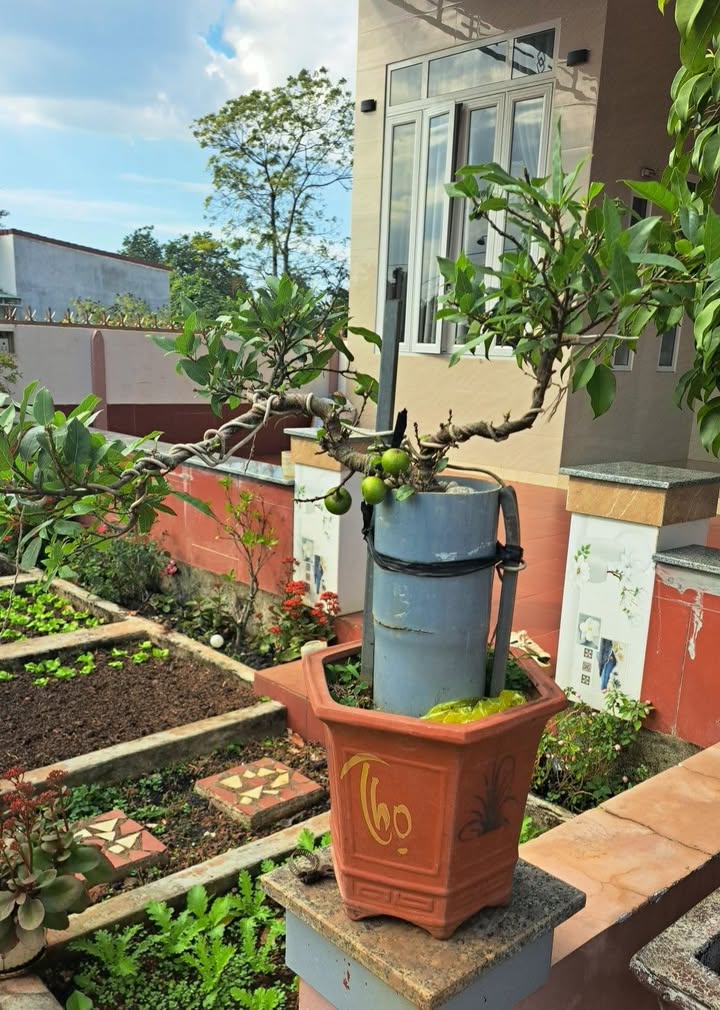 Đất nền Y Ngông, Huyện Cư M'gar 1200m² giá 900 triệu - Đầu tư sinh lời hấp dẫn!