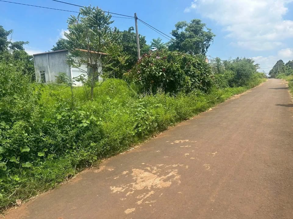 Đất thổ cư Hòa Xuân Buôn Ma Thuột 135m² giá 550 triệu - Đối diện trường TH Phan Bội Châu!