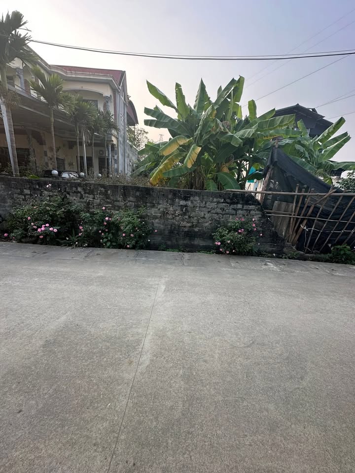 Đất thổ cư 737m² tại thôn Đức Thịnh, Ba Vì - Giá thỏa thuận, vị trí thuận lợi!