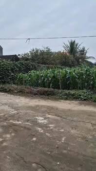 Đất thổ cư Xóm Chạ Tây, Yên Khánh 100m² giá 800 triệu - Cơ hội đầu tư tuyệt vời!